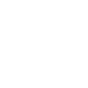 final-inspection-icon